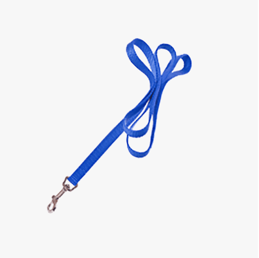 Pet Leash